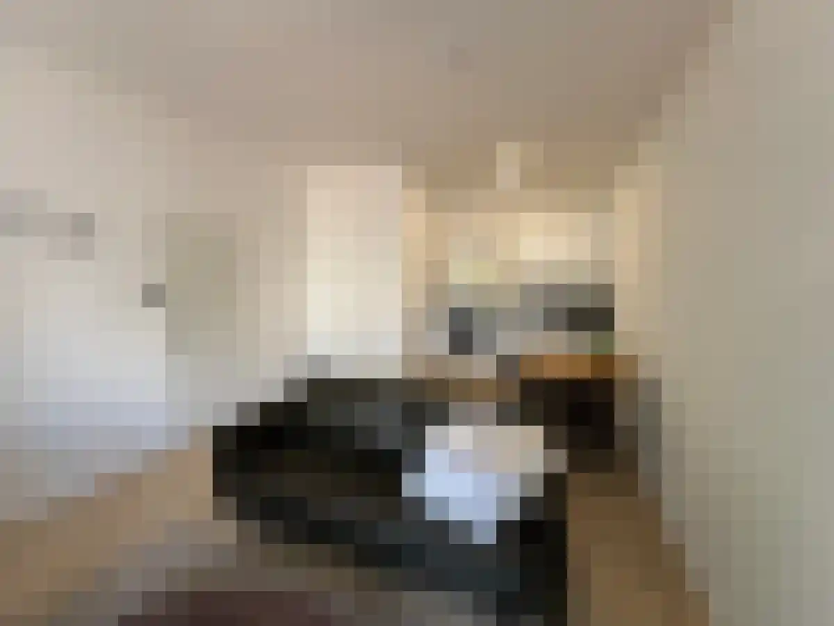 Zwart Janstraat 14 Rotterdam thumbnail 5