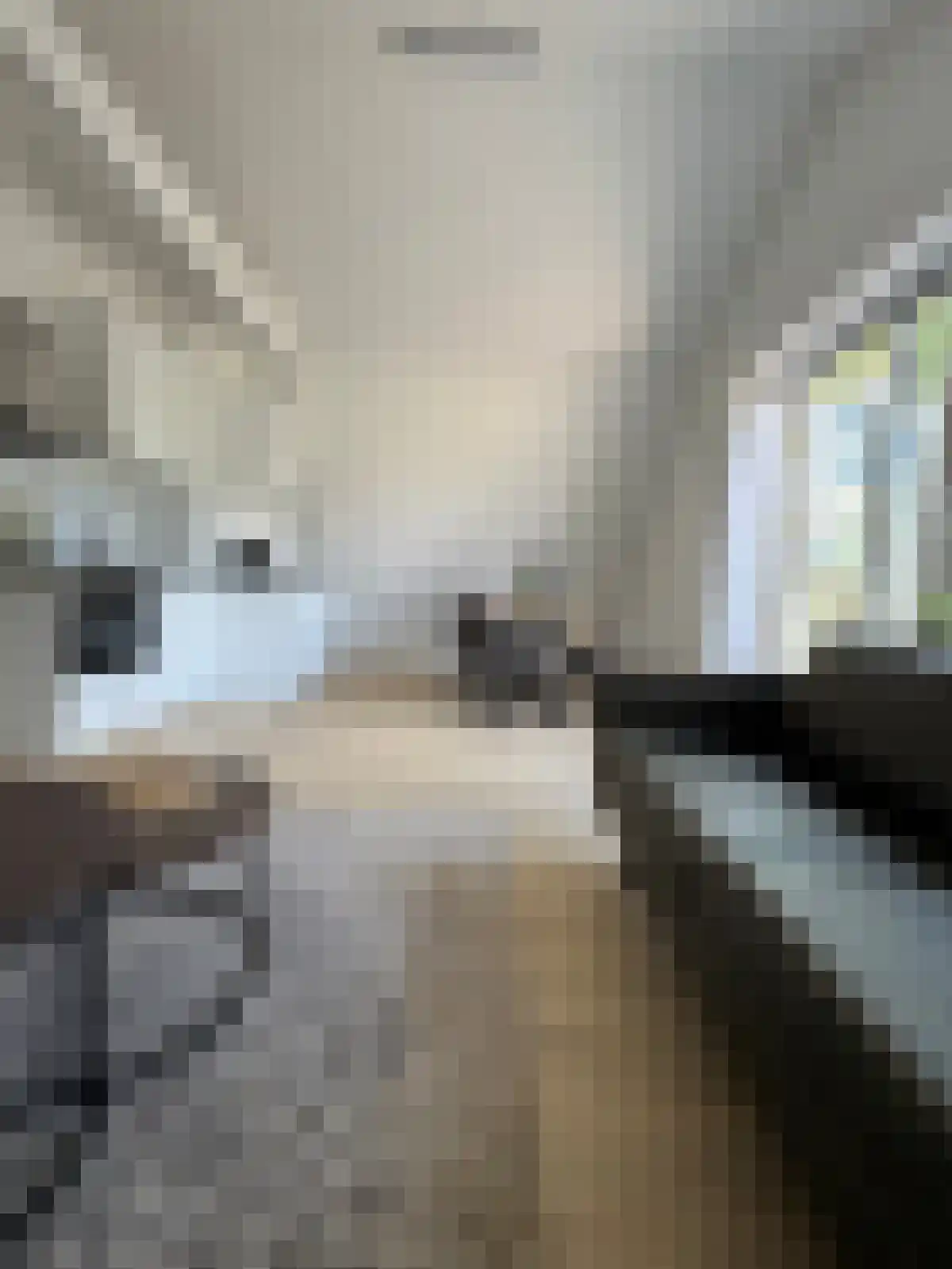Zwart Janstraat 14 Rotterdam thumbnail 5