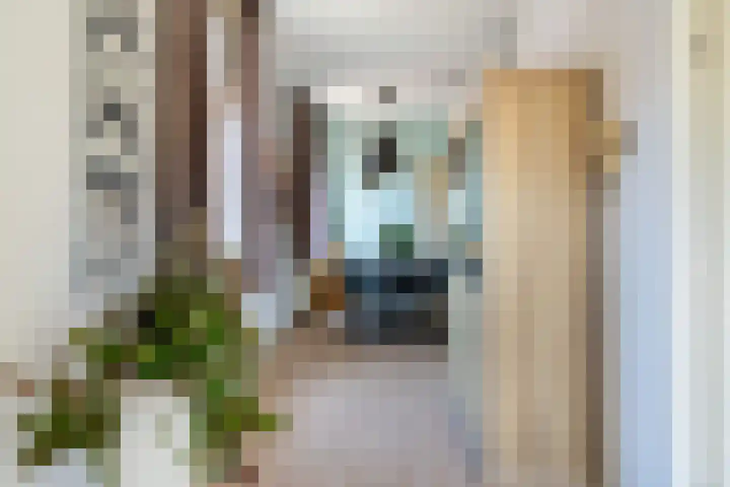 Zwart Janstraat 15 A 02 Rotterdam thumbnail 10