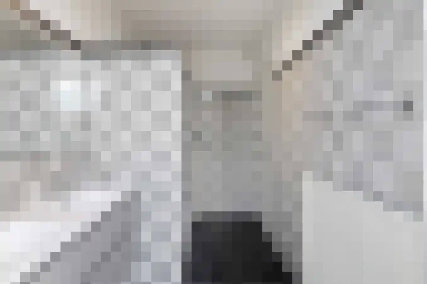 Zwart Janstraat 32 B 01 Rotterdam thumbnail 26