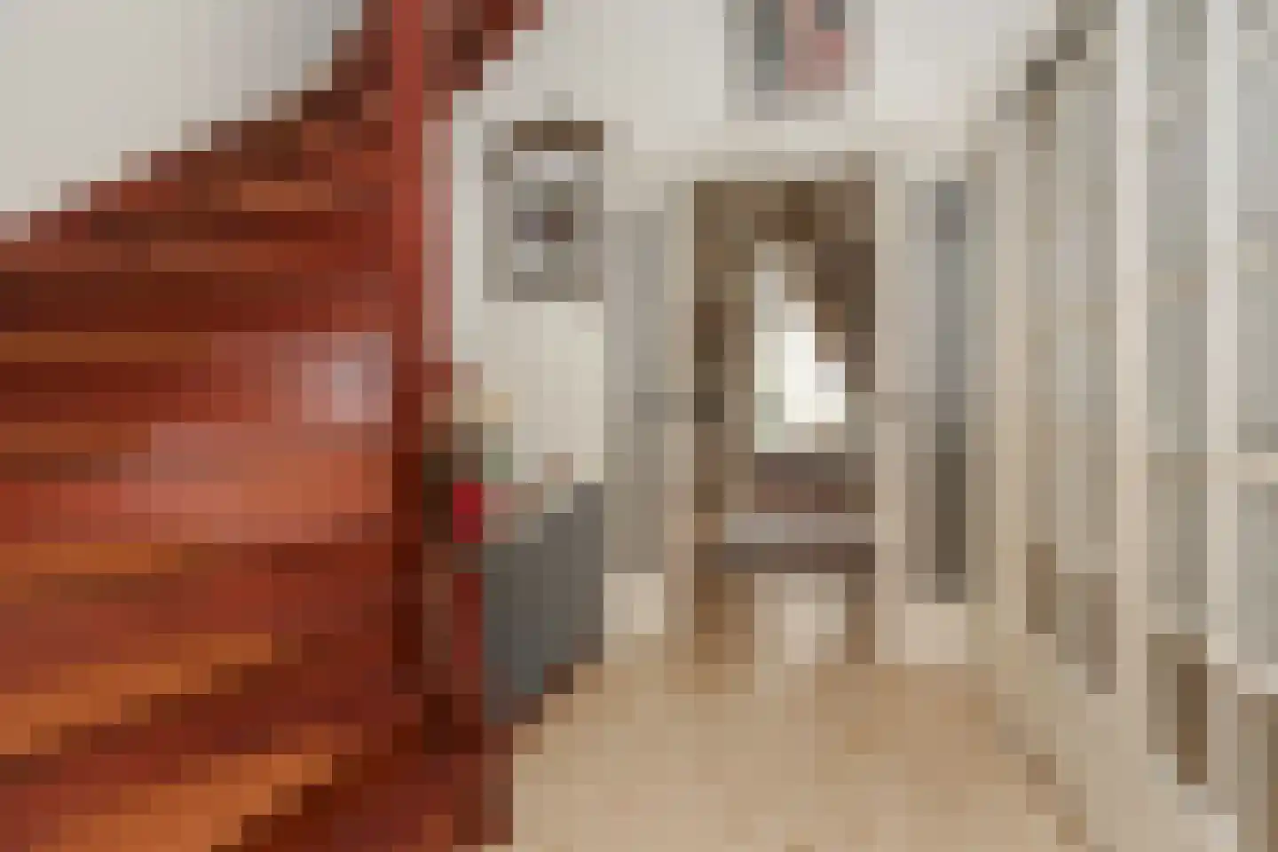 Zwart Janstraat 37 Rotterdam thumbnail 11