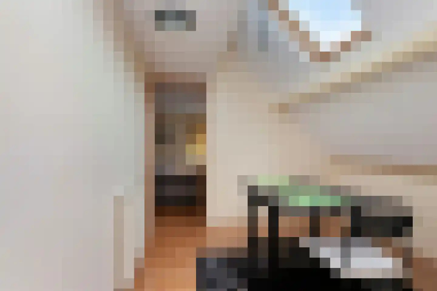 Zwart Janstraat 37 Rotterdam thumbnail 16