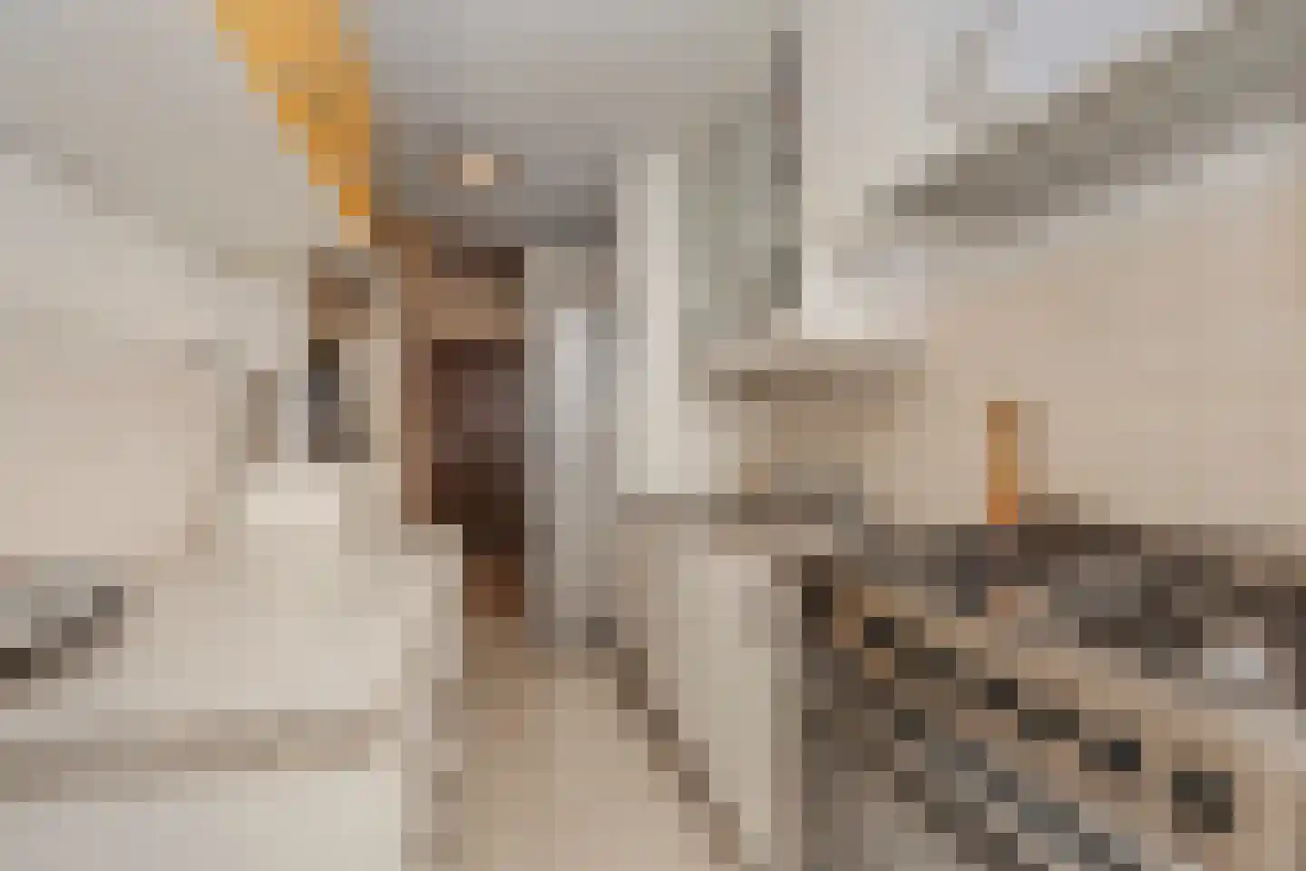 Zwart Janstraat 37 Rotterdam thumbnail 23
