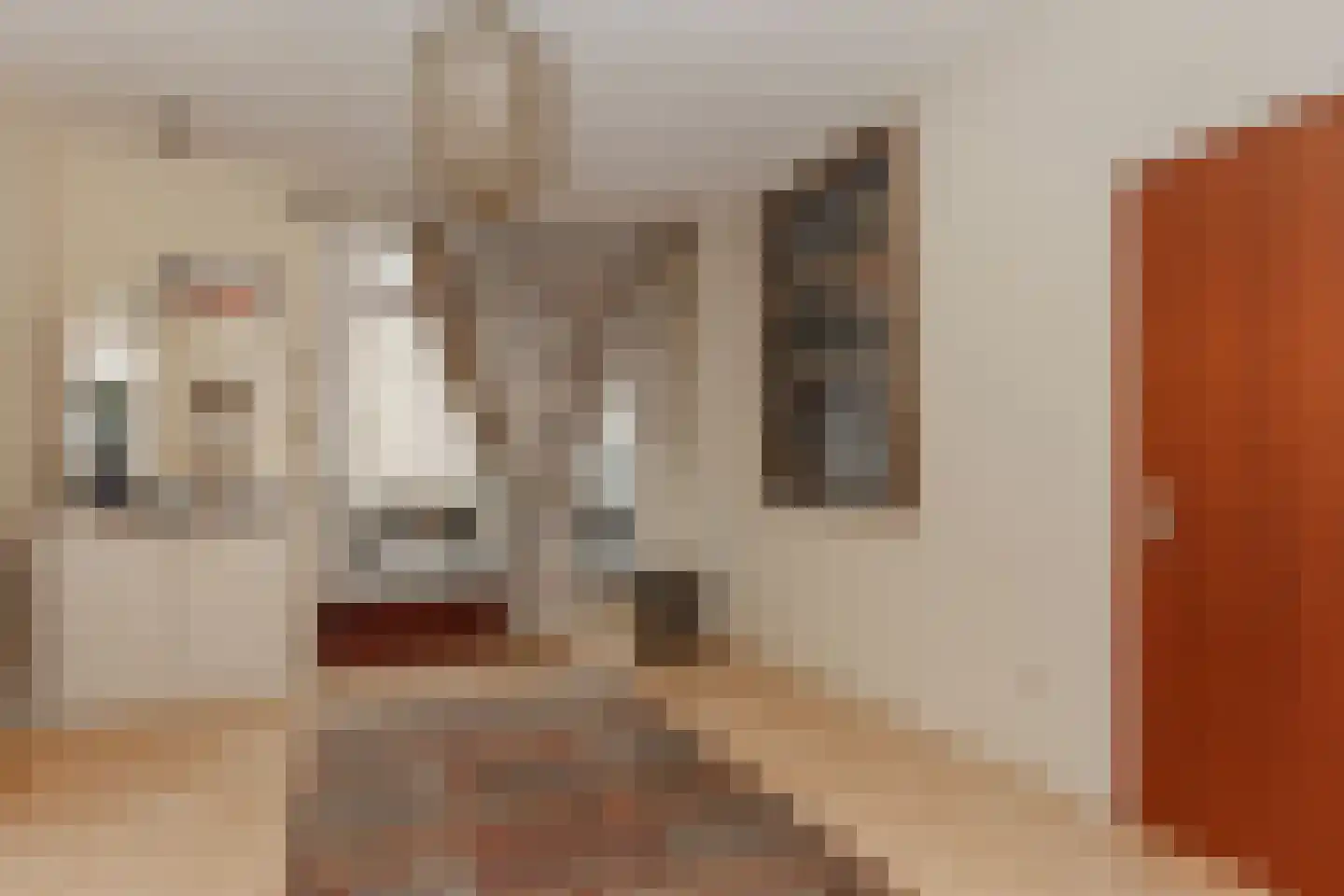 Zwart Janstraat 37 Rotterdam thumbnail 6