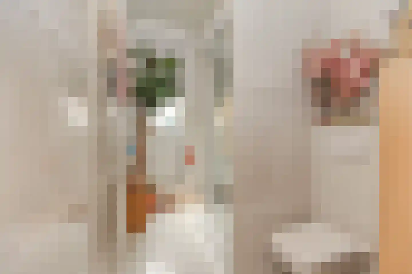 Zwart Janstraat 37 Rotterdam thumbnail 9