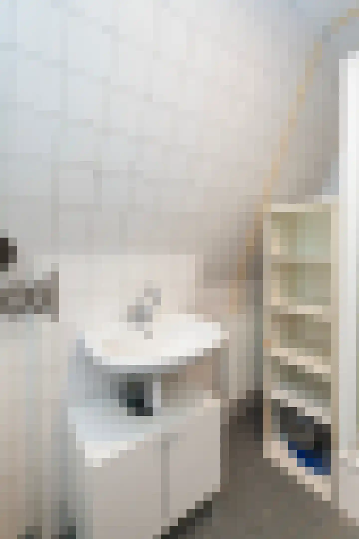 Zwart Janstraat 51 A Rotterdam thumbnail 35