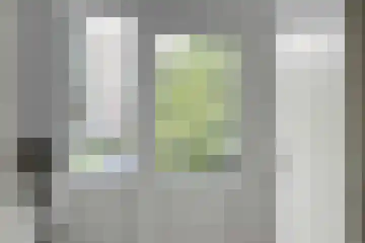 Zwart Janstraat 8 B Rotterdam thumbnail 18