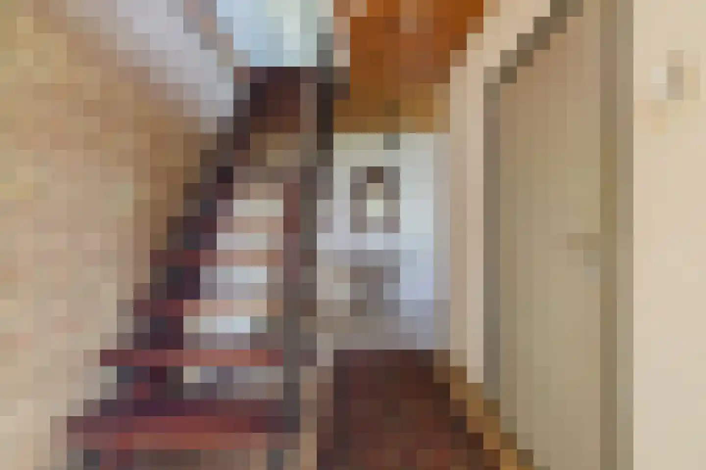 Zwart Moerken 2 Rijsbergen thumbnail 10
