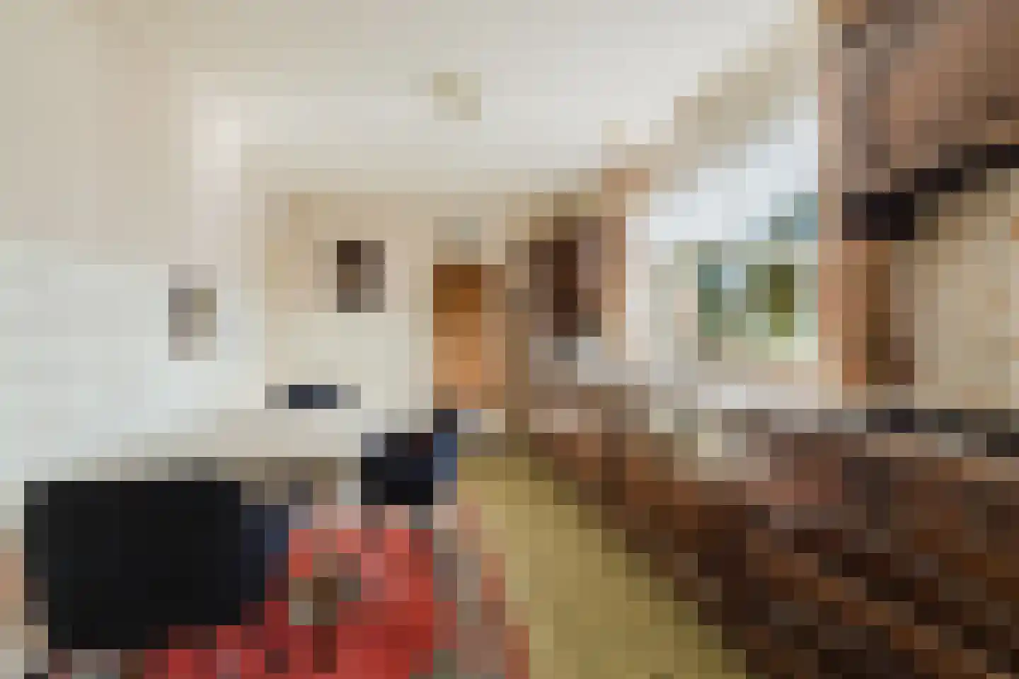Zwart Moerken 2 Rijsbergen thumbnail 11