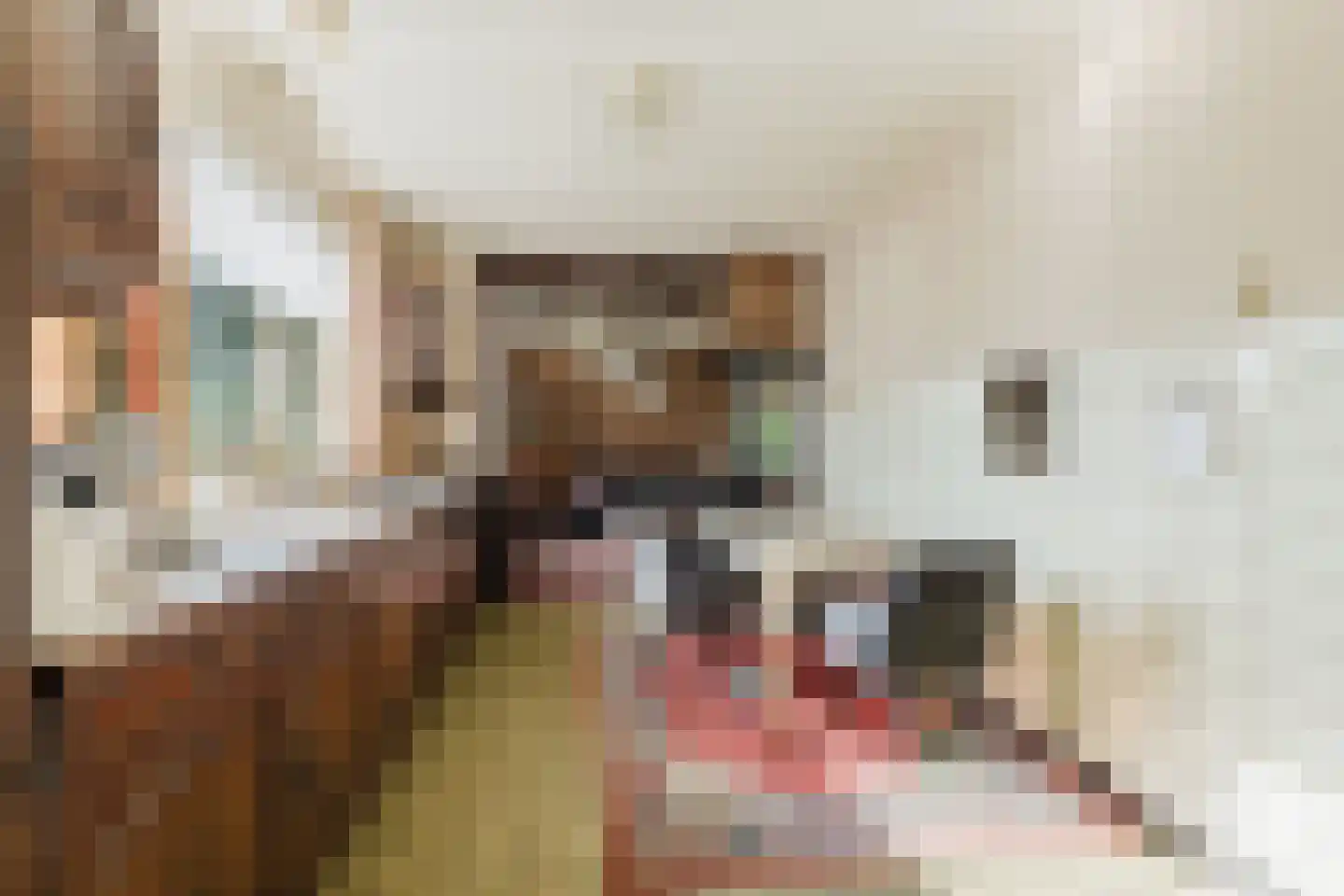 Zwart Moerken 2 Rijsbergen thumbnail 12