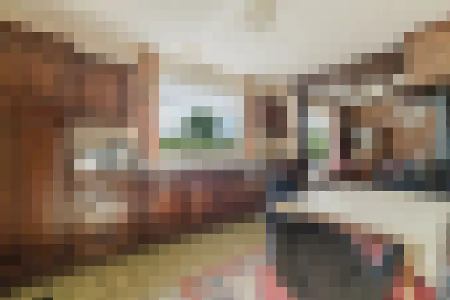 Zwart Moerken 2 Rijsbergen thumbnail 13