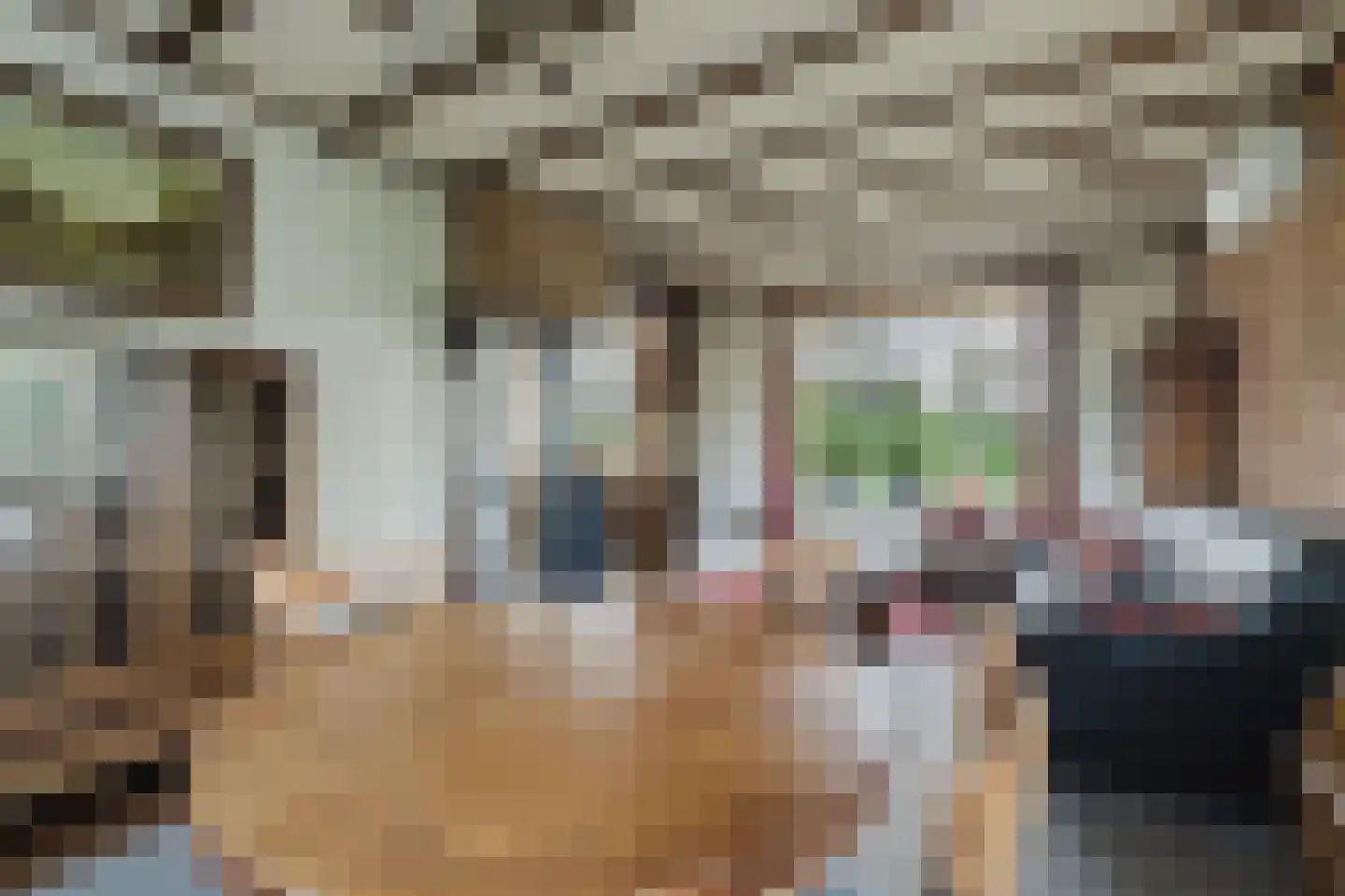Zwart Moerken 2 Rijsbergen thumbnail 16