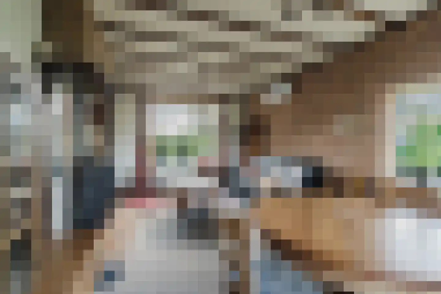 Zwart Moerken 2 Rijsbergen thumbnail 17