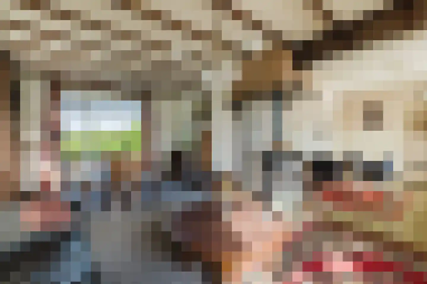 Zwart Moerken 2 Rijsbergen thumbnail 19