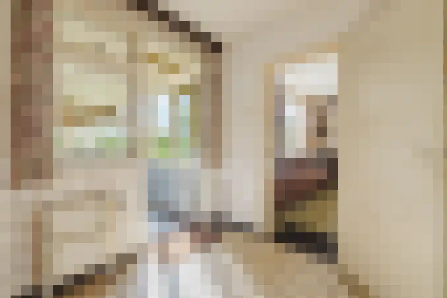 Zwart Moerken 2 Rijsbergen thumbnail 20
