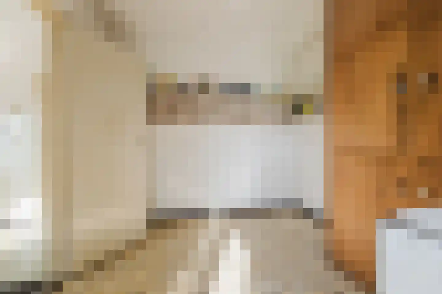Zwart Moerken 2 Rijsbergen thumbnail 21