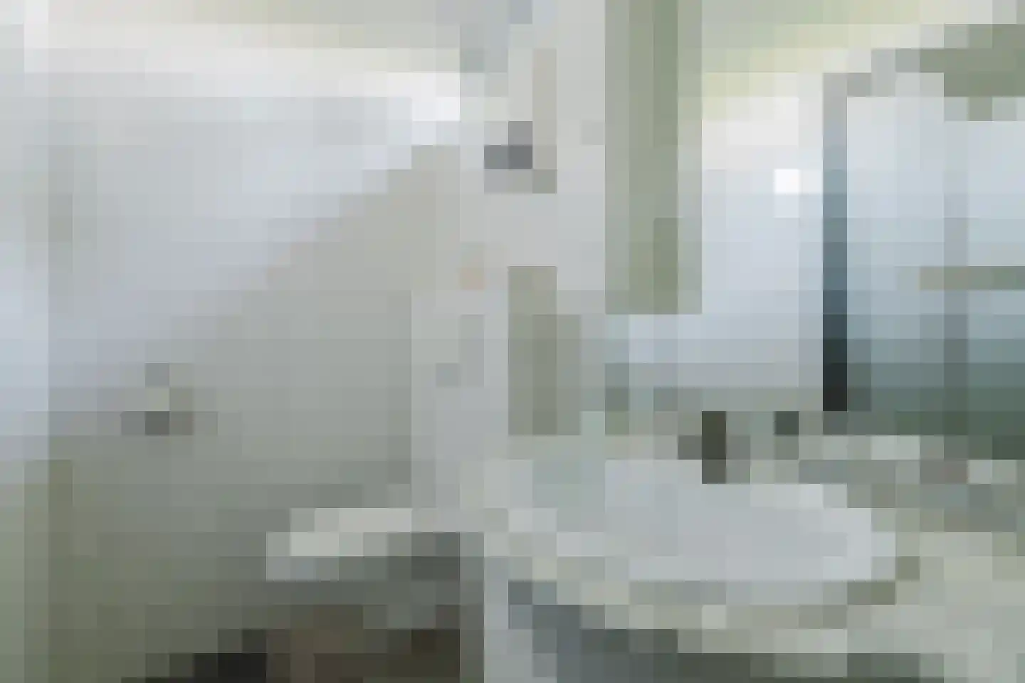 Zwart Moerken 2 Rijsbergen thumbnail 24