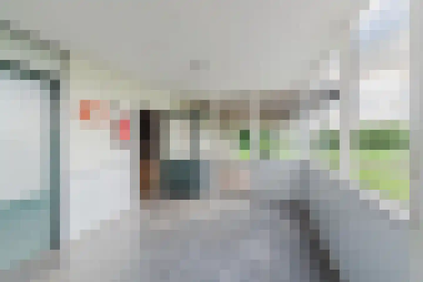 Zwart Moerken 2 Rijsbergen thumbnail 25