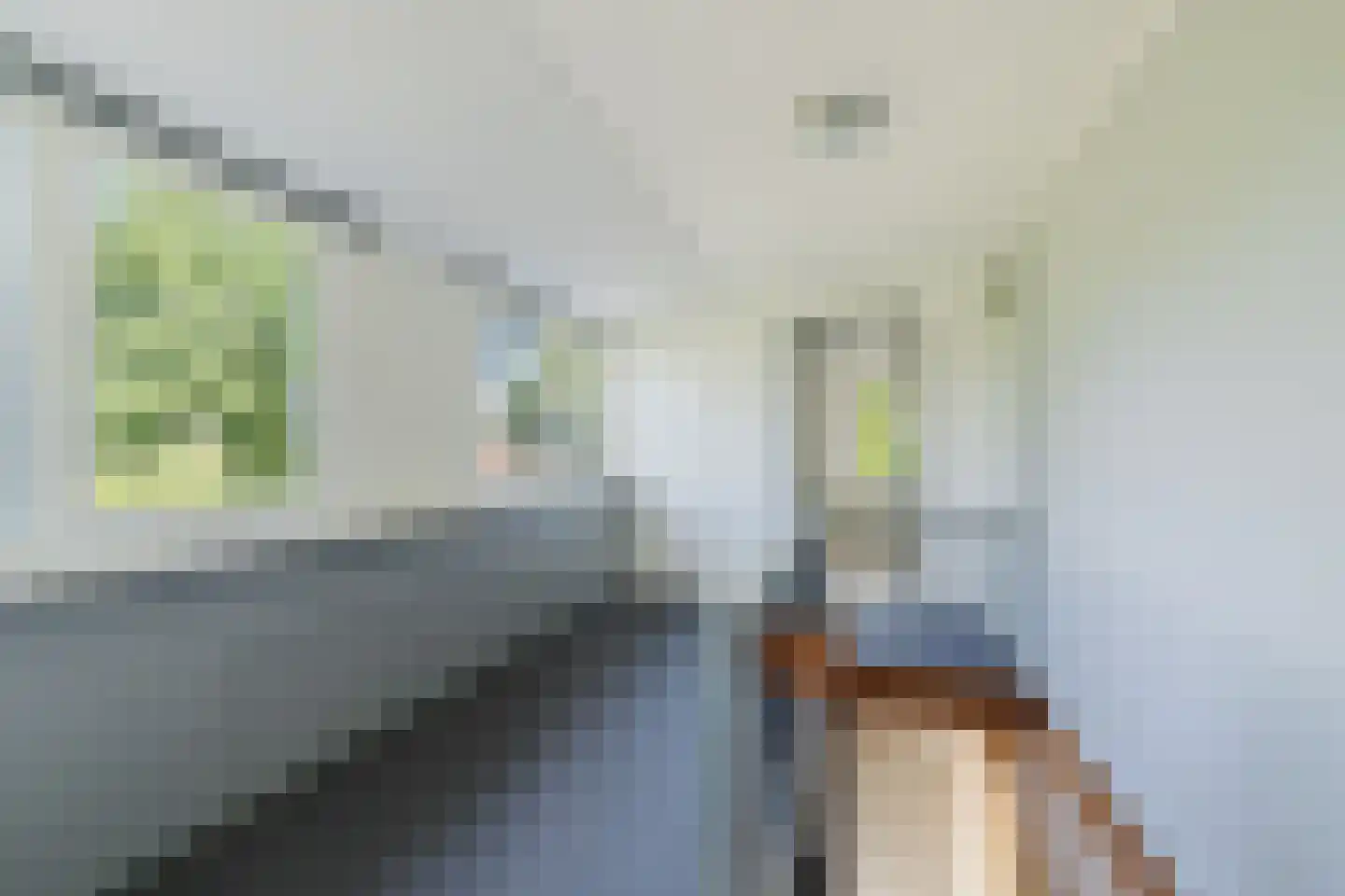 Zwart Moerken 2 Rijsbergen thumbnail 28