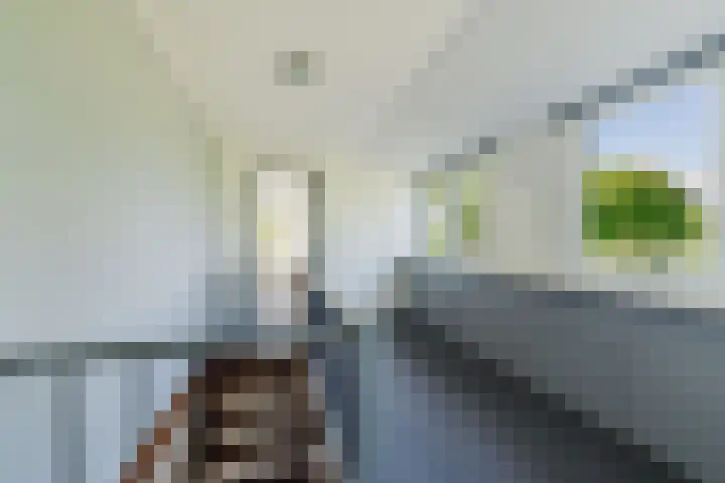 Zwart Moerken 2 Rijsbergen thumbnail 29