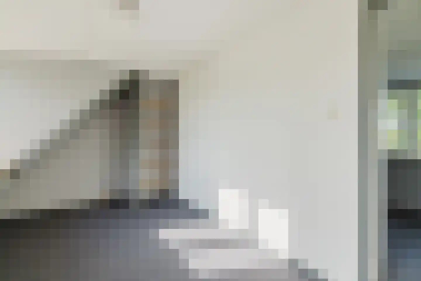 Zwart Moerken 2 Rijsbergen thumbnail 31
