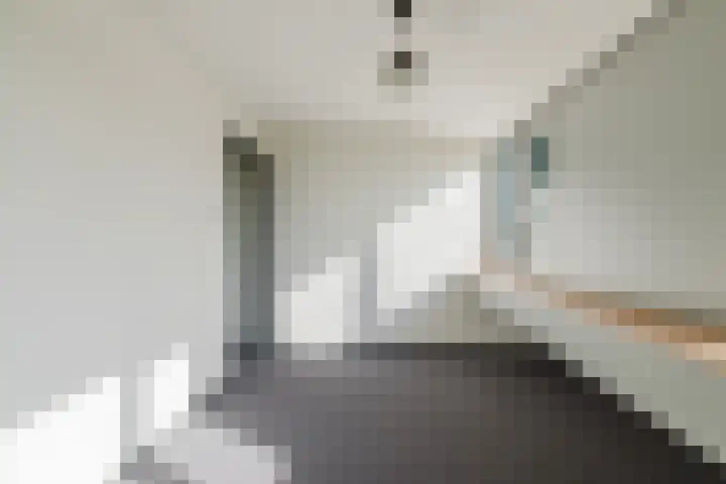 Zwart Moerken 2 Rijsbergen thumbnail 32