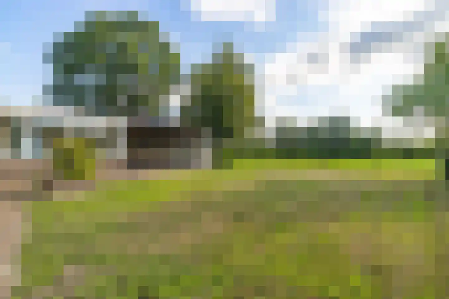 Zwart Moerken 2 Rijsbergen thumbnail 38