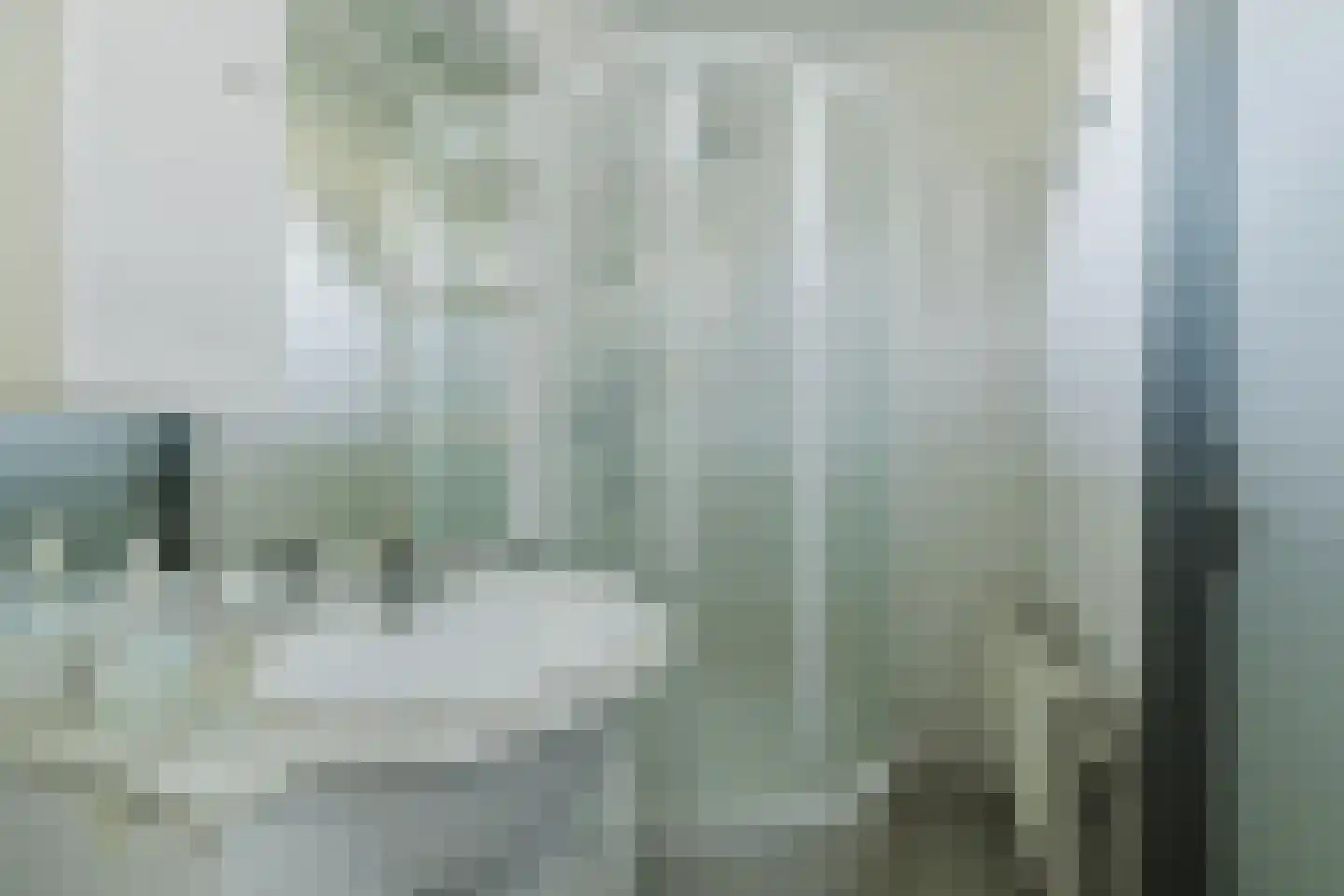 Zwart Moerken 2 Rijsbergen thumbnail 4