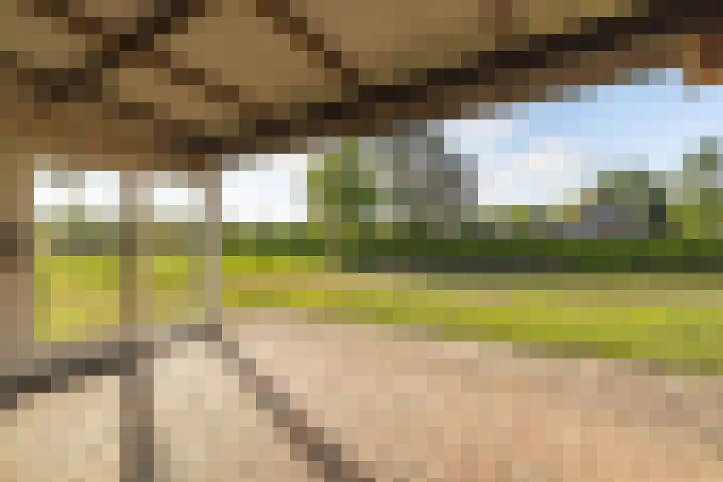 Zwart Moerken 2 Rijsbergen thumbnail 40