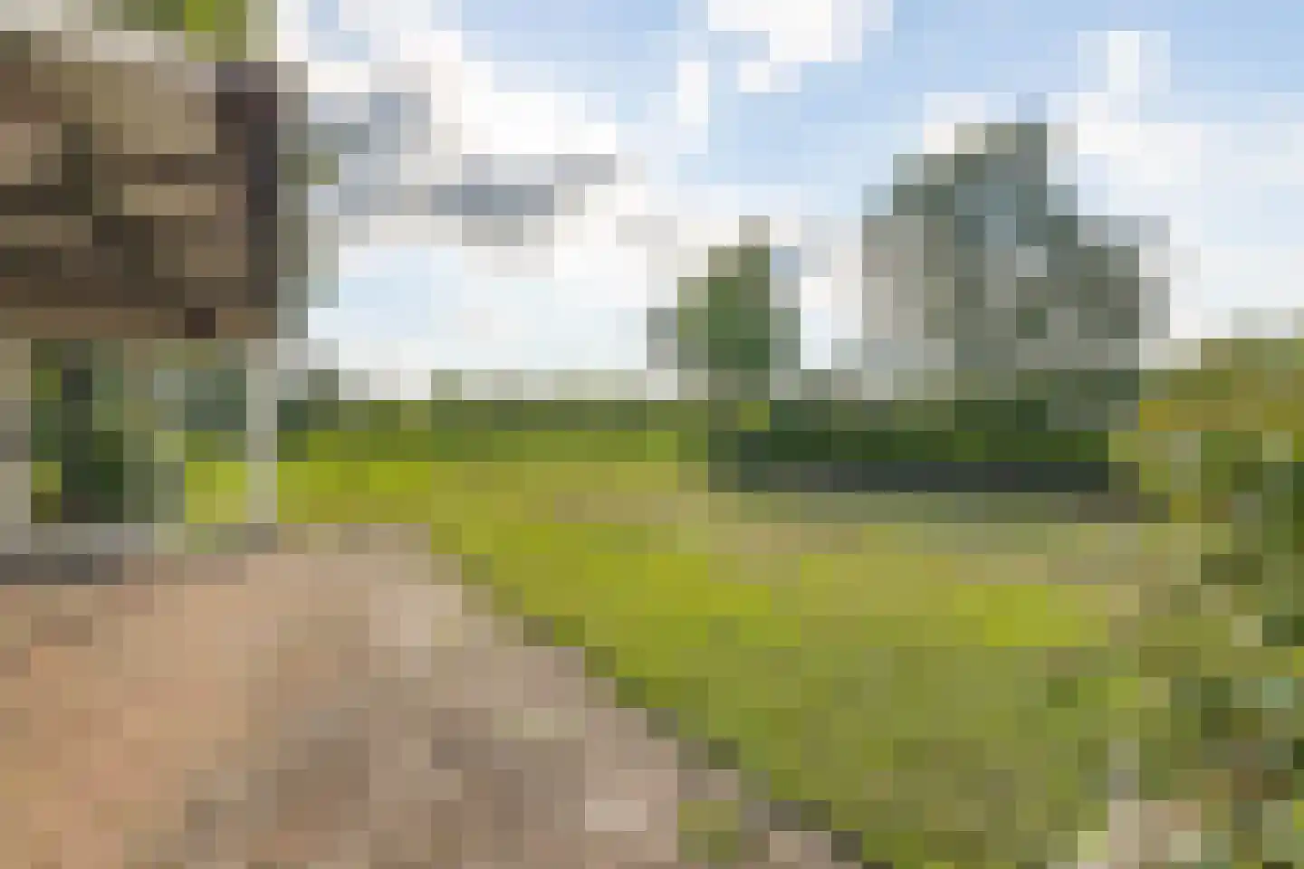 Zwart Moerken 2 Rijsbergen thumbnail 41