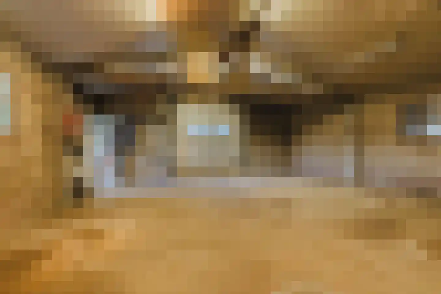 Zwart Moerken 2 Rijsbergen thumbnail 42