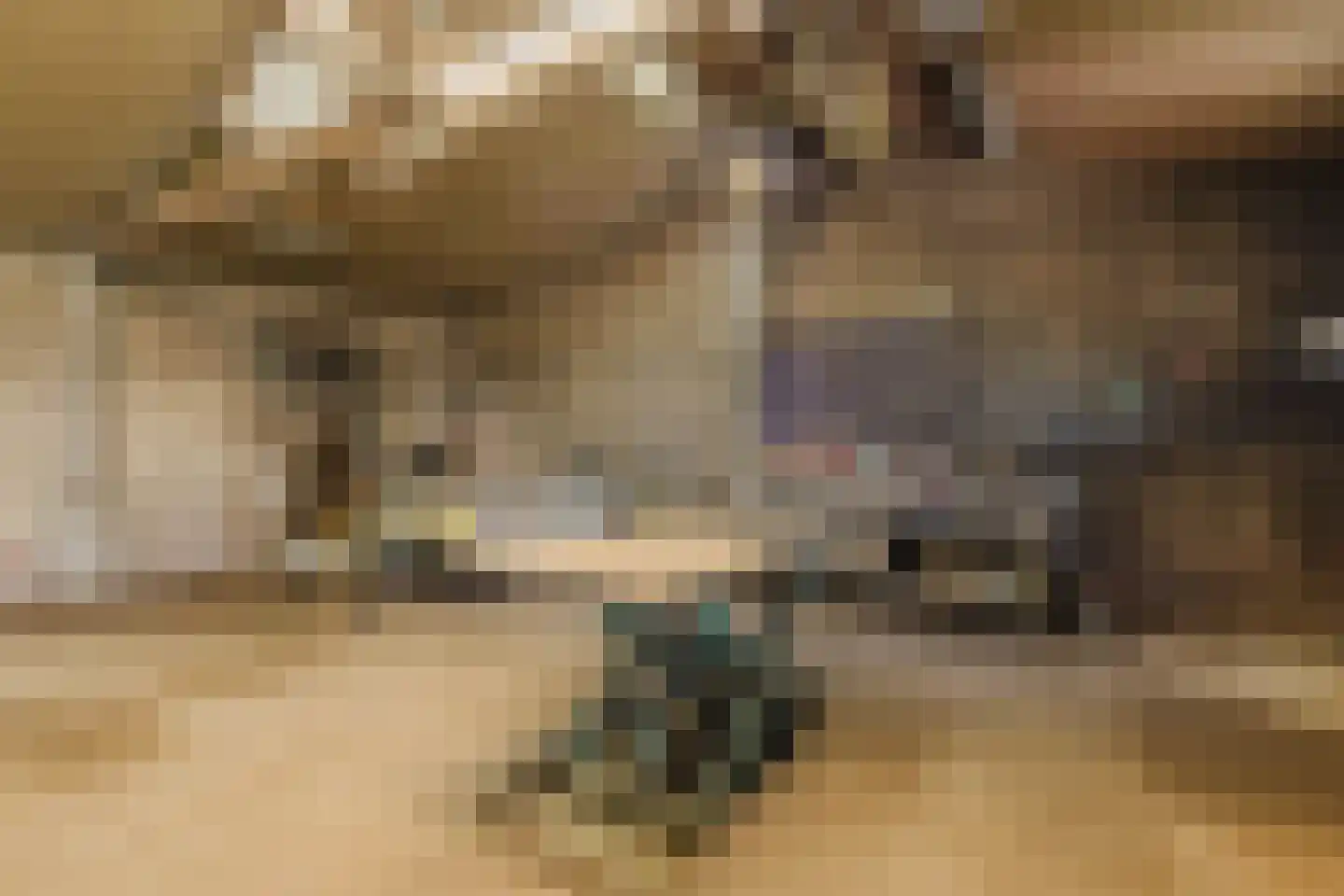 Zwart Moerken 2 Rijsbergen thumbnail 43