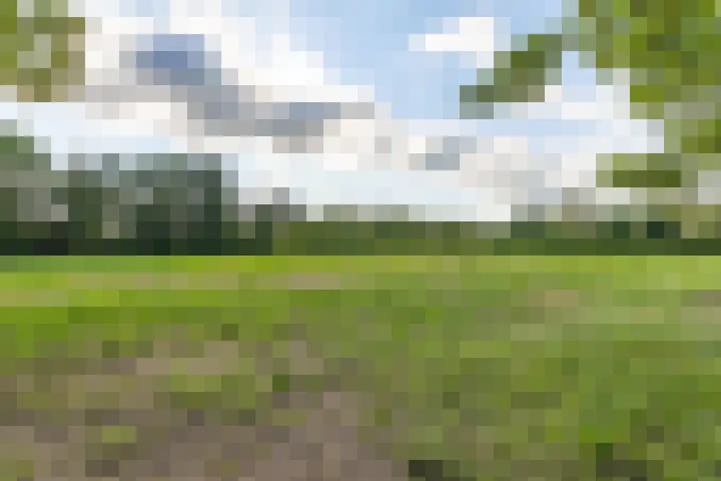 Zwart Moerken 2 Rijsbergen thumbnail 45