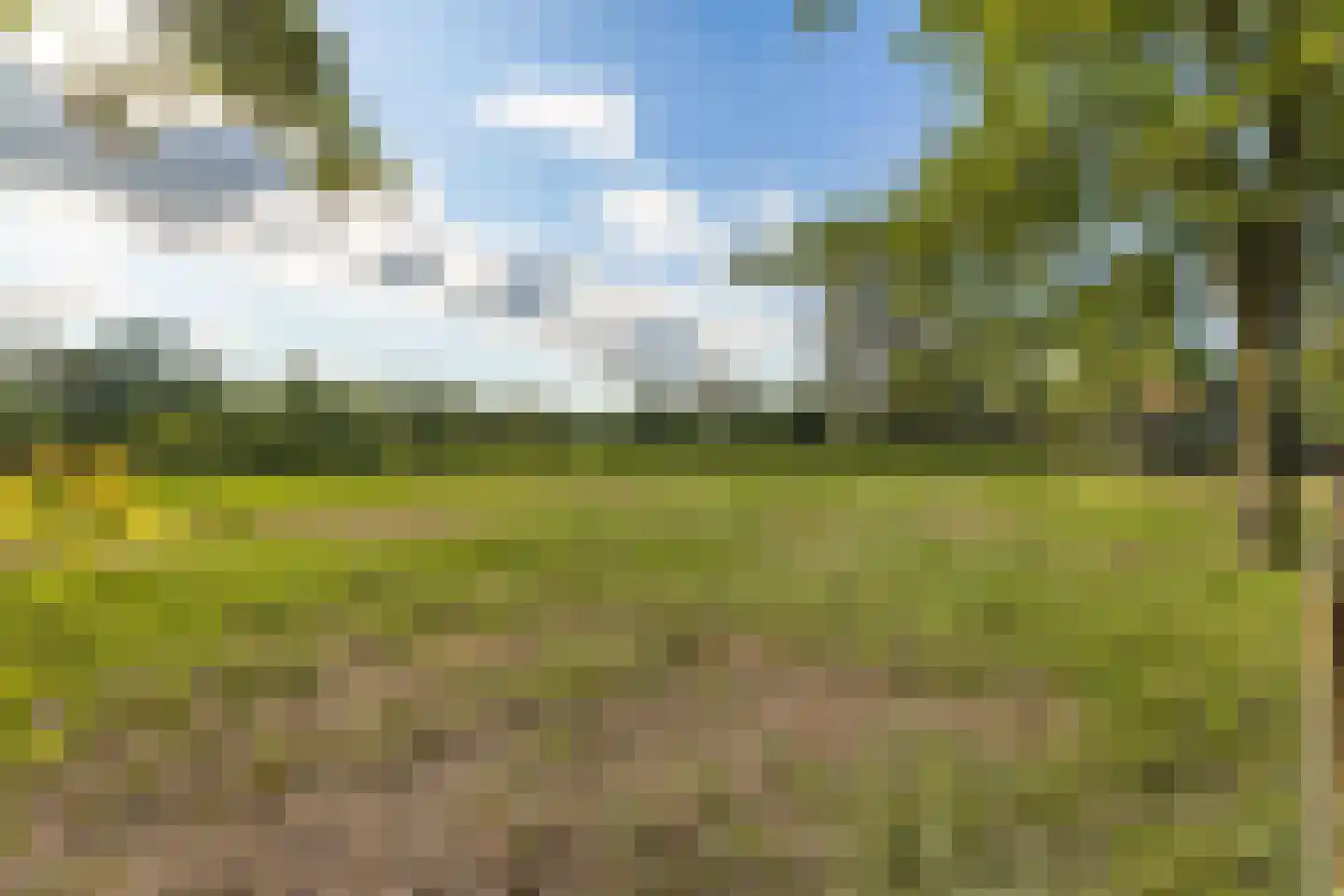 Zwart Moerken 2 Rijsbergen thumbnail 46