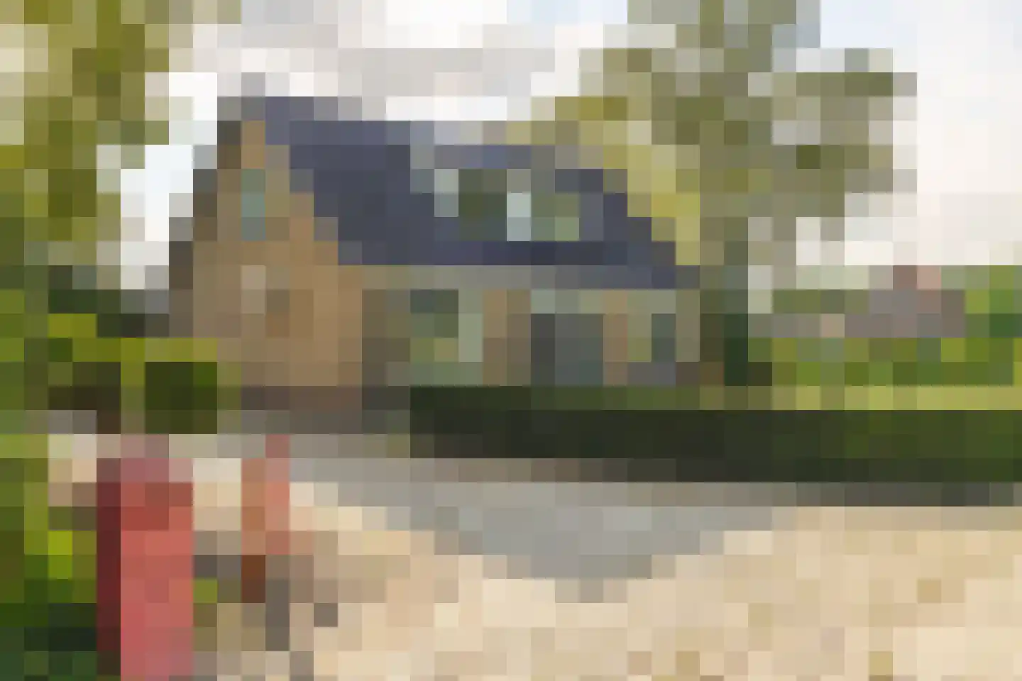 Zwart Moerken 2 Rijsbergen thumbnail 47
