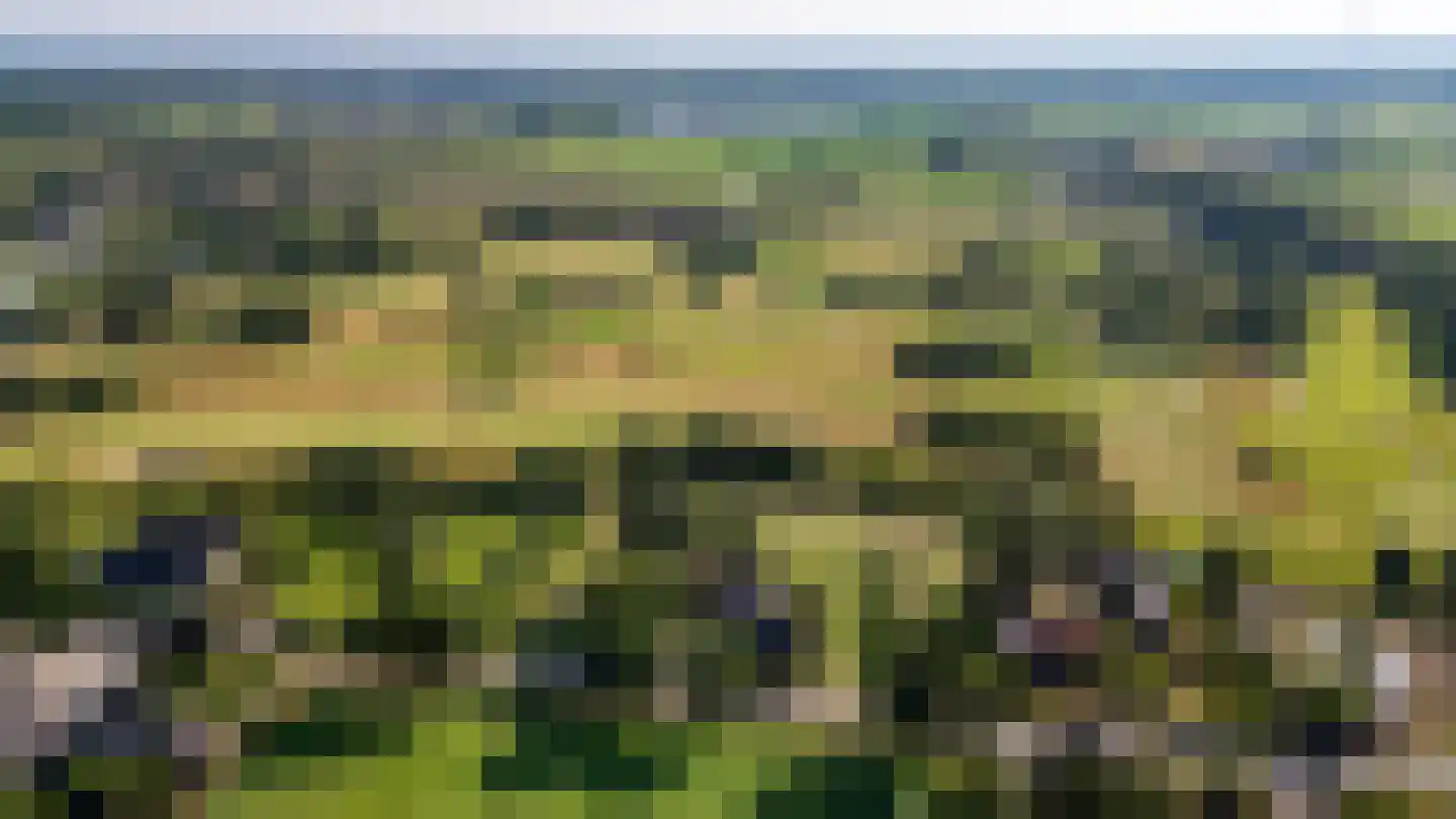 Zwart Moerken 2 Rijsbergen thumbnail 51