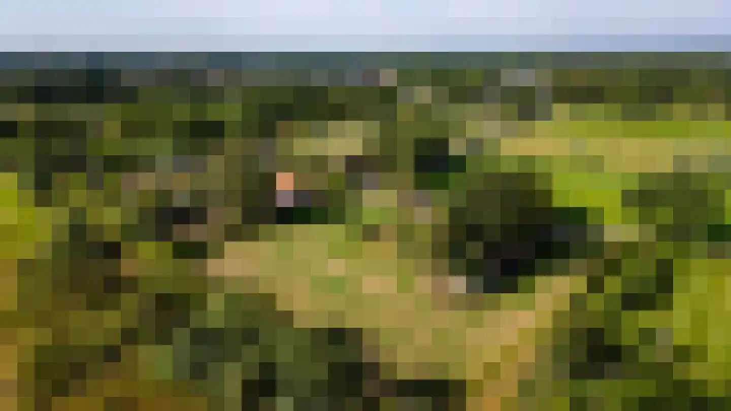 Zwart Moerken 2 Rijsbergen thumbnail 52