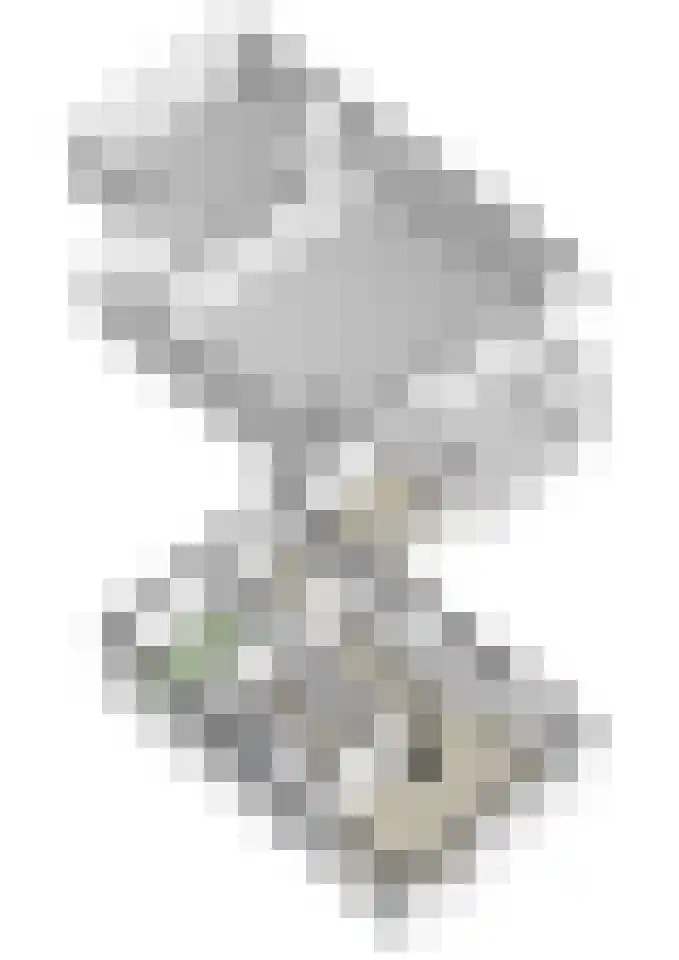 Zwart Moerken 2 Rijsbergen thumbnail 55