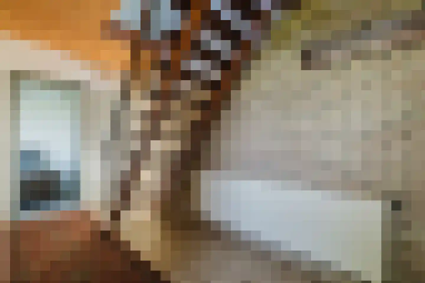Zwart Moerken 2 Rijsbergen thumbnail 9