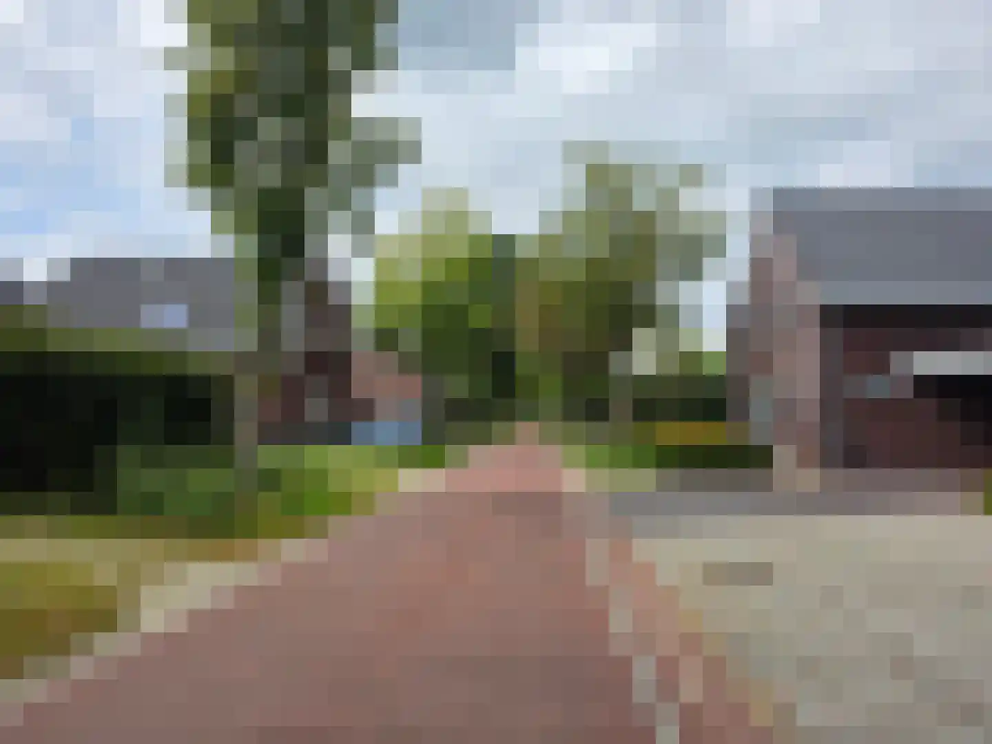 Zwartakkers in Bladel