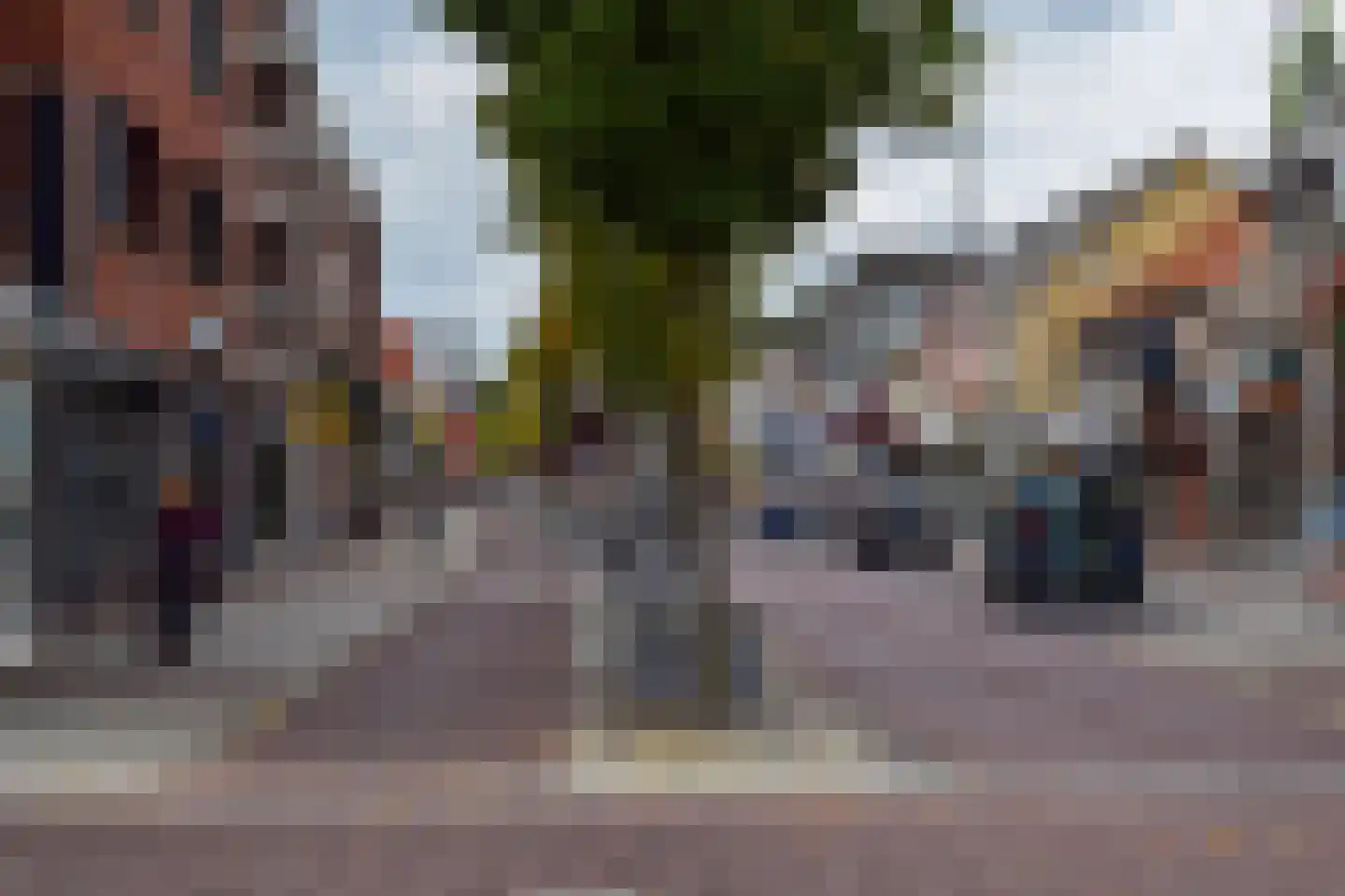 Zwartakkers Bladel thumbnail 12