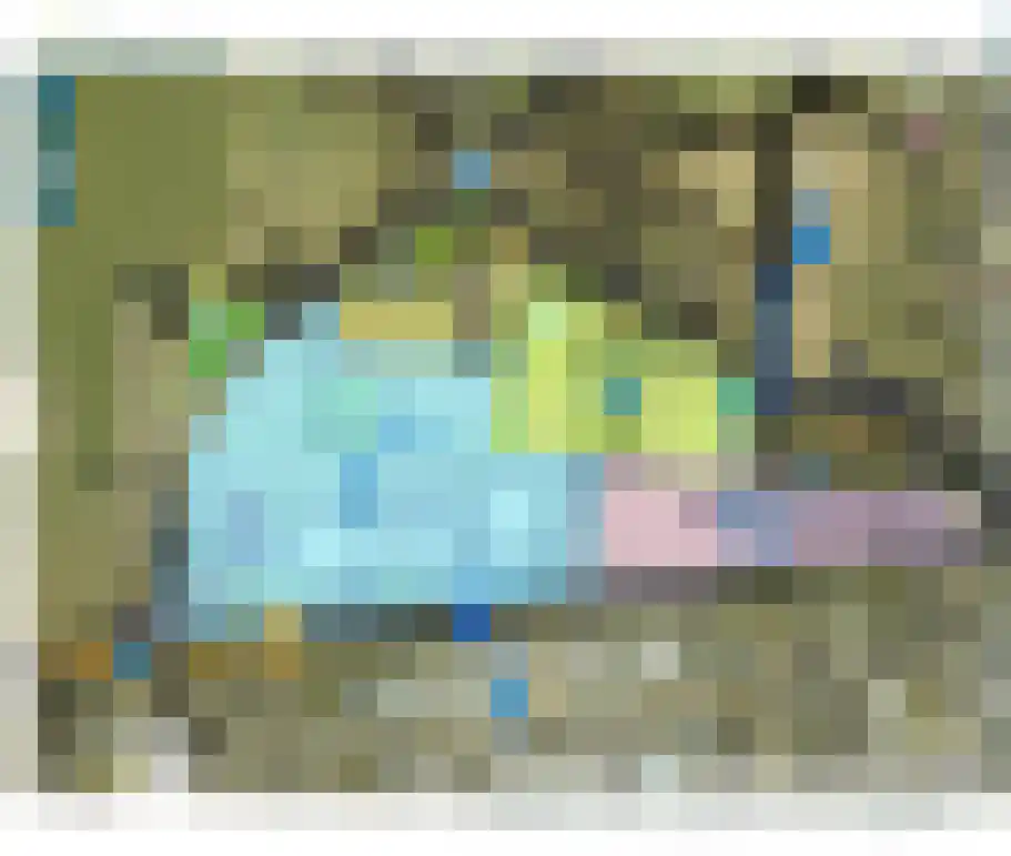Zwartakkers Bladel thumbnail 14