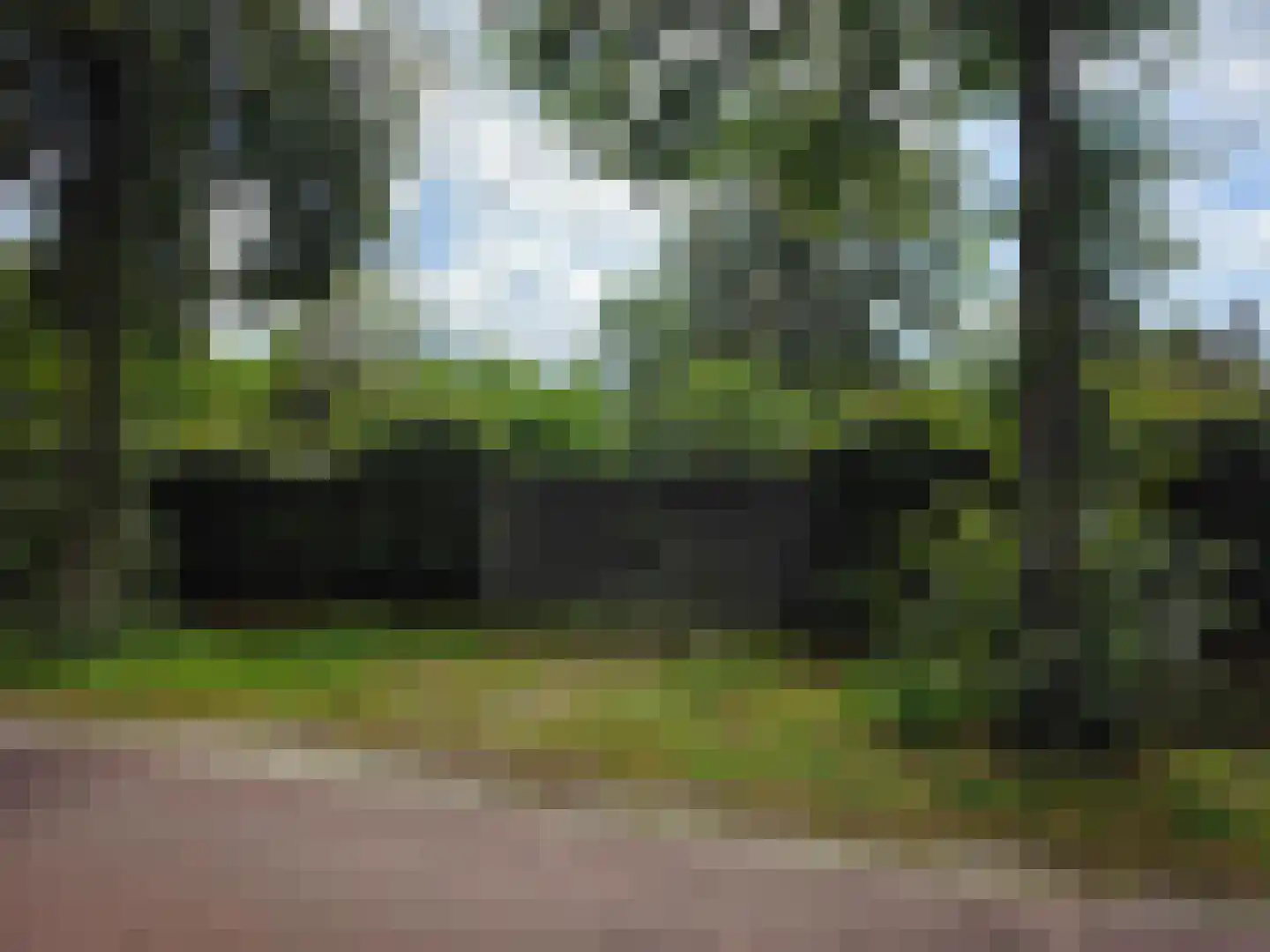 Zwartakkers Bladel thumbnail 4