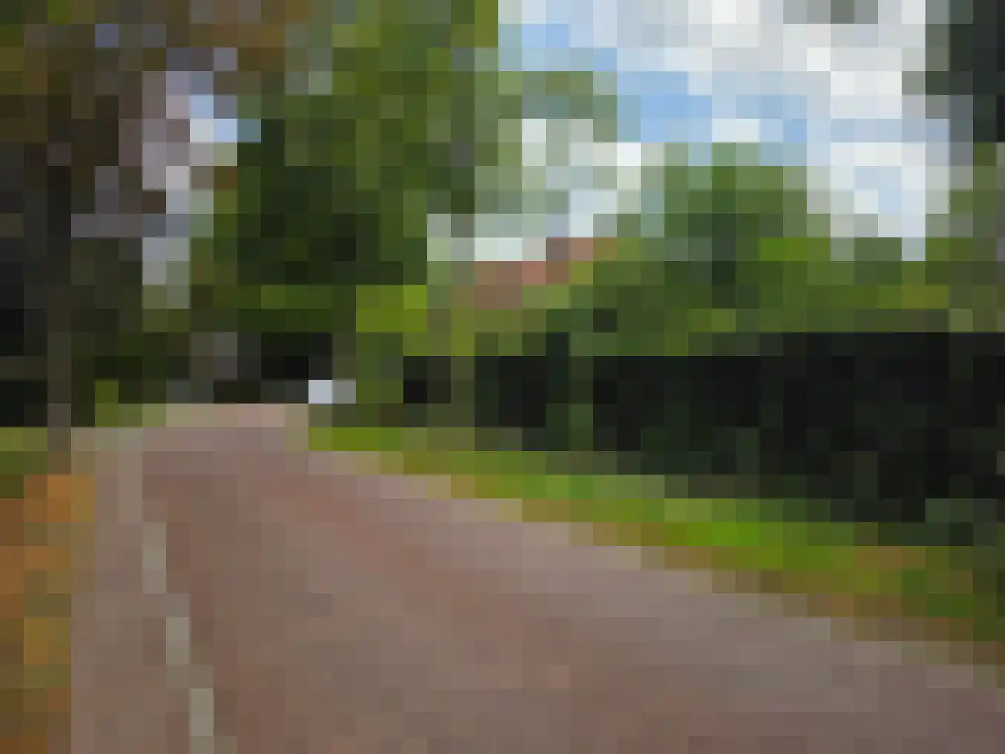 Zwartakkers Bladel thumbnail 6