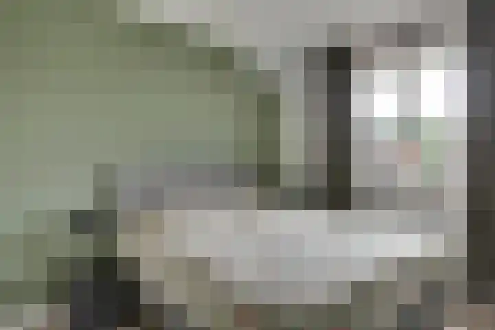 Zwartbont 14 Veldhoven thumbnail 19