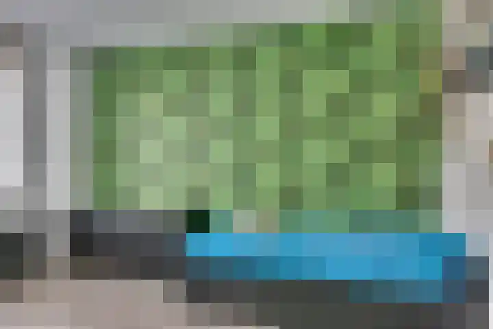 Zwartbont 14 Veldhoven thumbnail 21