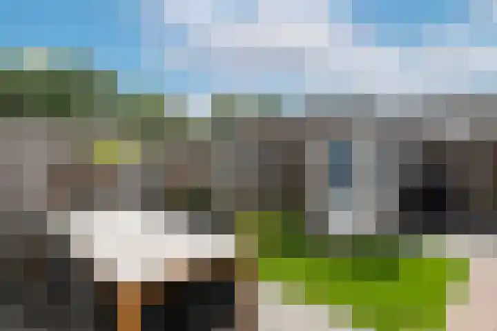 Zwartbont 14 Veldhoven thumbnail 31