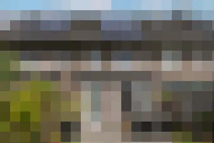 Zwartbont 14 Veldhoven thumbnail 34