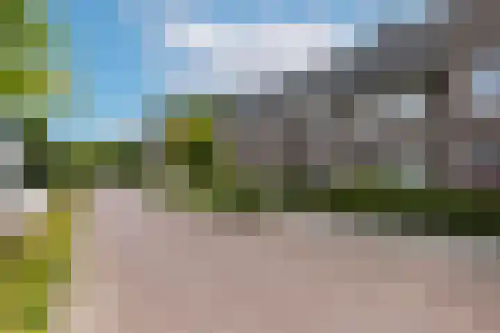 Zwartbont 14 Veldhoven thumbnail 35