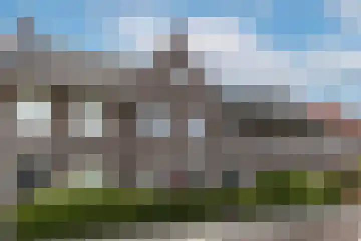 Zwartbont 14 Veldhoven thumbnail 36